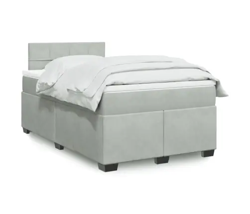 Lova Su Spyruoklėmis Ir Čiužiniu, Pilka, 120X200cm Aksomas