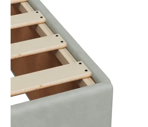 Lova Su Spyruoklėmis Ir Čiužiniu, Pilka, 140X200 cm Aksomas