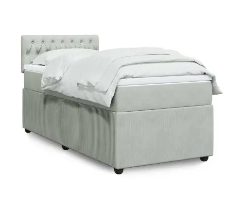 Lova Su Spyruoklėmis Ir Čiužiniu, Pilka, 100X200 cm Aksomas