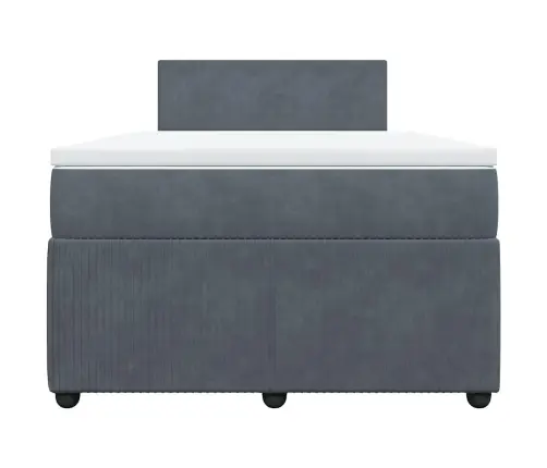 Lova Su Spyruoklėmis Ir Čiužiniu, Pilka, 120X190cm Aksomas