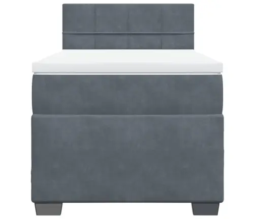 Lova Su Spyruoklėmis Ir Čiužiniu, Pilka, 90X190 cm Aksomas