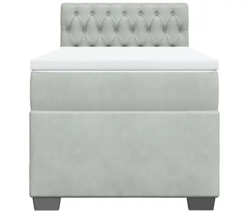 Lova Su Spyruoklėmis Ir Čiužiniu, Pilka, 90X200 cm Aksomas