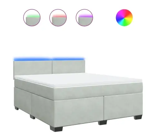 Kontinentaalvoodi Madratsiga, Helehall, 180X200 cm Samet