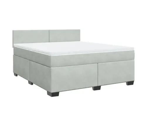 Kontinentaalvoodi Madratsiga, Helehall, 180X200 cm Samet