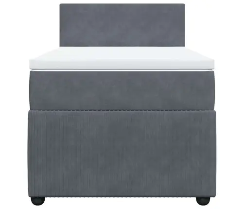 Lova Su Spyruoklėmis Ir Čiužiniu, Pilka, 80X200cm Aksomas