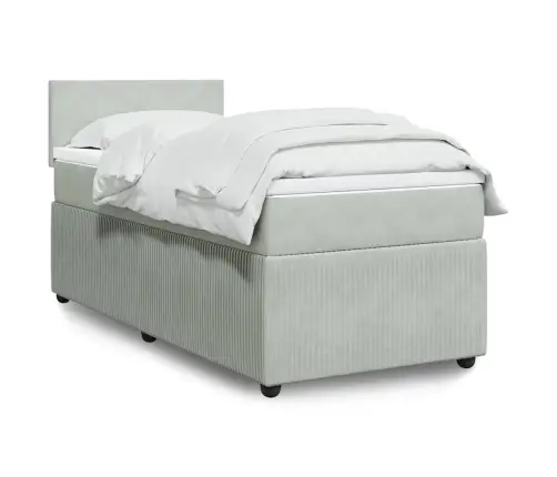 Lova Su Spyruoklėmis Ir Čiužiniu, Pilka, 100X200 cm Aksomas