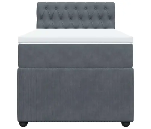 Lova Su Spyruoklėmis Ir Čiužiniu, Pilka, 100X200 cm Aksomas