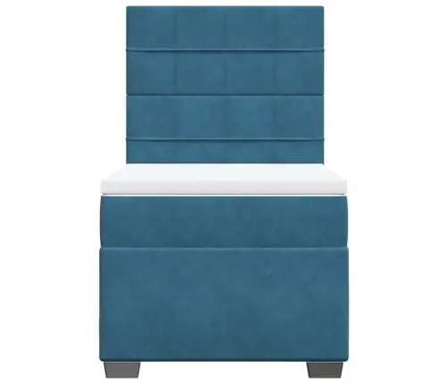 Kontinentaalvoodi Madratsiga, Sinine, 80X200 cm Samet