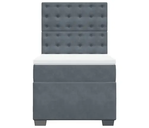 Lova Su Spyruoklėmis Ir Čiužiniu, Pilka, 90X200 cm Aksomas