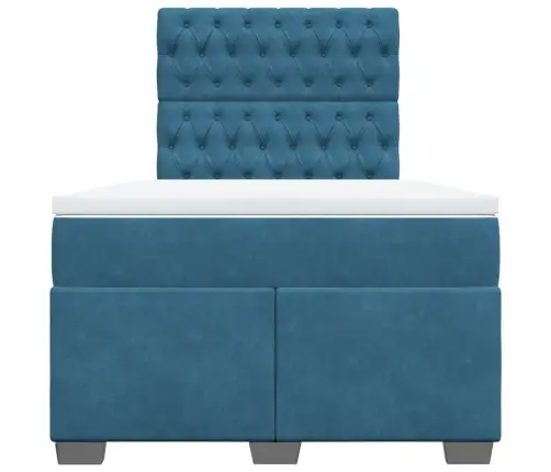 Kontinentaalvoodi Madratsiga, Sinine, 120X200 cm Samet