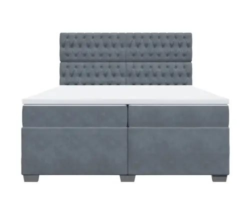 Lova Su Spyruoklėmis Ir Čiužiniu, Pilka, 200X200 cm Aksomas