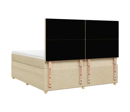 Kontinentaalvoodi Madratsiga, Kreemjas, 200X200 cm Kangas