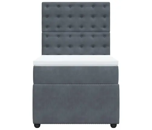 Lova Su Spyruoklėmis Ir Čiužiniu, Pilka, 80X200cm Aksomas