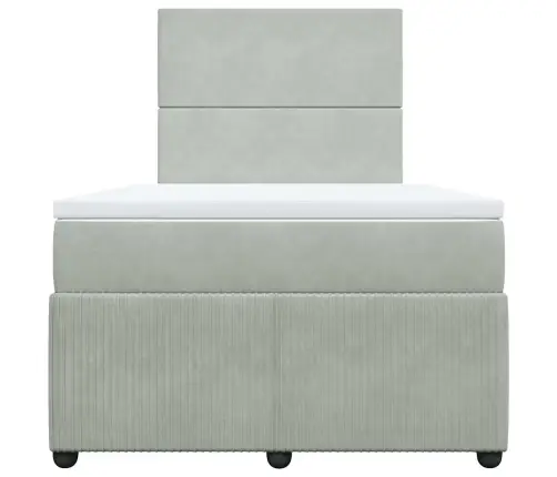 Lova Su Spyruoklėmis Ir Čiužiniu, Pilka, 120X190cm Aksomas