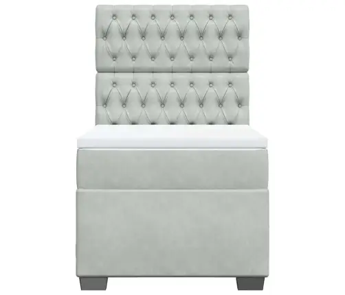 Lova Su Spyruoklėmis Ir Čiužiniu, Pilka, 90X200 cm Aksomas