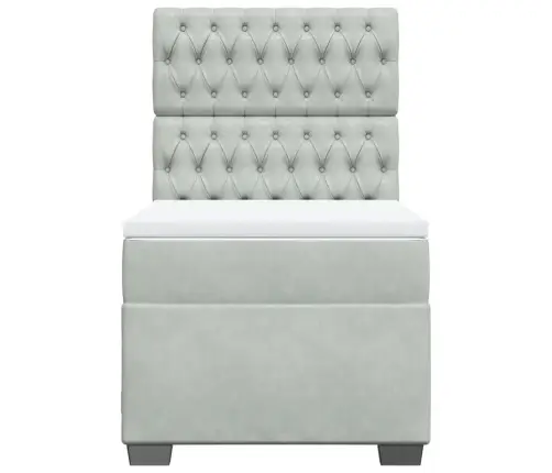 Lova Su Spyruoklėmis Ir Čiužiniu, Pilka, 100X200 cm Aksomas