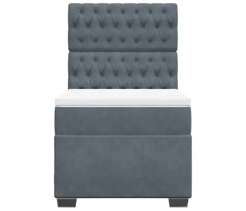 Lova Su Spyruoklėmis Ir Čiužiniu, Pilka, 100X200 cm Aksomas