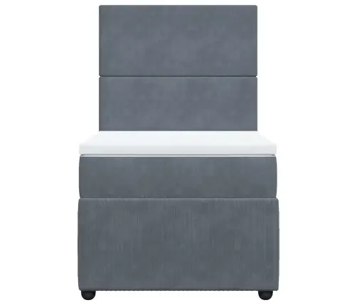 Lova Su Spyruoklėmis Ir Čiužiniu, Pilka, 80X200cm Aksomas