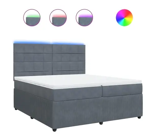 Lova Su Spyruoklėmis Ir Čiužiniu, Pilka, 200X200 cm Aksomas