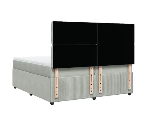 Kontinentaalvoodi Madratsiga, Helehall, 200X200 cm Samet