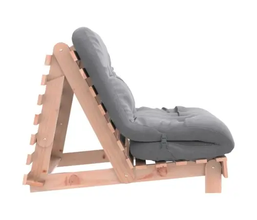 Futono Sofa-Lova Su Čiužiniu, 80X206X11cm Douglas Eglė