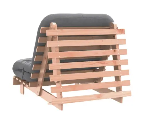 Futono Sofa-Lova Su Čiužiniu, 80X206X11cm Douglas Eglė