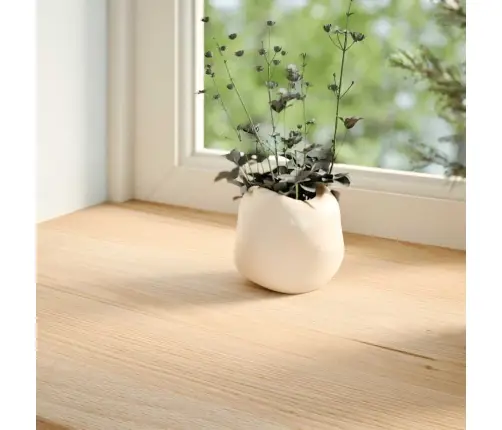 Palangės, 2 Vnt, 100X25X2 cm Neapdorotas Ąžuolo Medienos