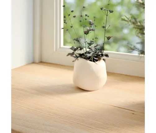 Aknalauad 2 Tk, 120 X 25 X 2 cm Töötlemata Tammepuit