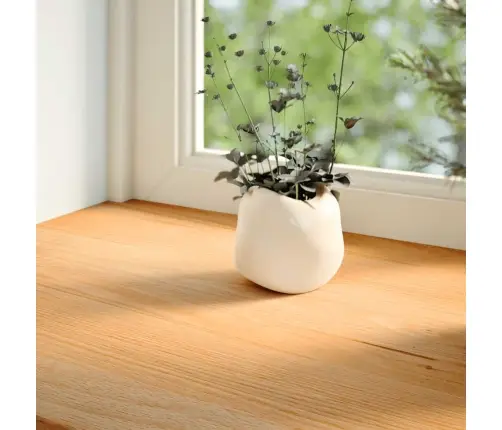 Aknalauad 2 Tk, Helepruun, 160 X 25 X 2 cm Toekas Tammepuit