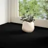 Palodzes 2 Gb., Tumši Brūns, 70X20X2 Cm, Ozola Masīvkoks Vidaxl