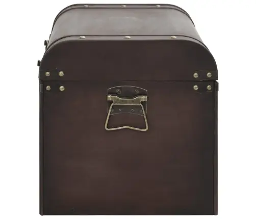 Dārgumu Lāde, Tumši Brūna, 79,5X39,5X39,5 Cm, Saplāksnis Vidaxl