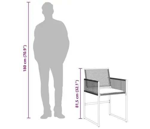 Sodo Komplektas Su Pagalvėlėmis, 15 Dalių, Juodas, Poliratanas