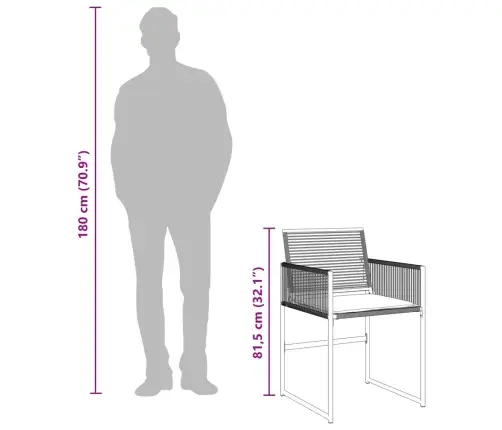 Sodo Komplektas Su Pagalvėlėmis, 15 Dalių, Juodas, Poliratanas