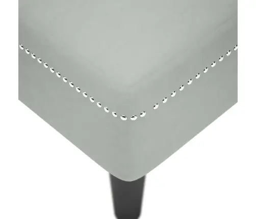 Zvilnis Ar Spilveniem Un Labo Roku Balstu, Gaiši Pelēks Samts Vidaxl