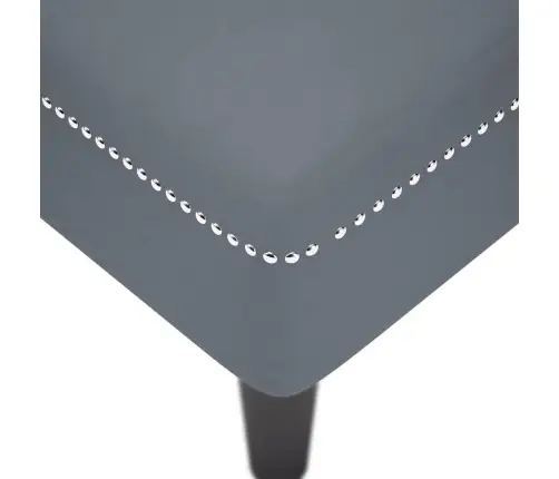 Poilsio Gultas Su Pagalve/Porankiu Dešinėje, Pilka, Aksomas