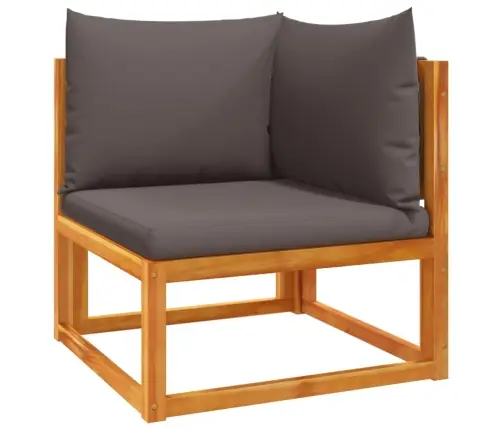 9 Daļu Dārza Dīvānu Komplekts Ar Spilveniem, Akācijas Koks Un Virve Vidaxl