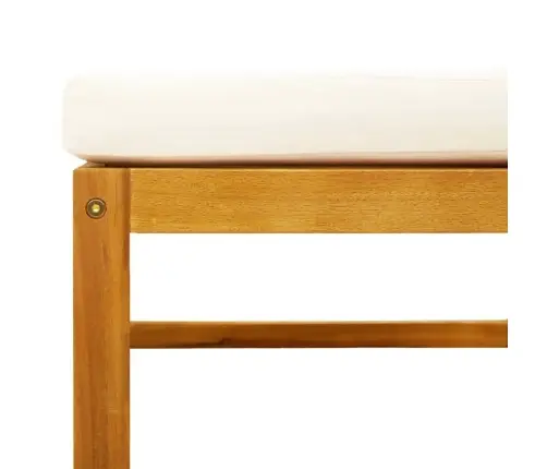 10-Osaline Aiadiivanikomplekt Patjadega, Puit, Akaatsia Ja Rotang