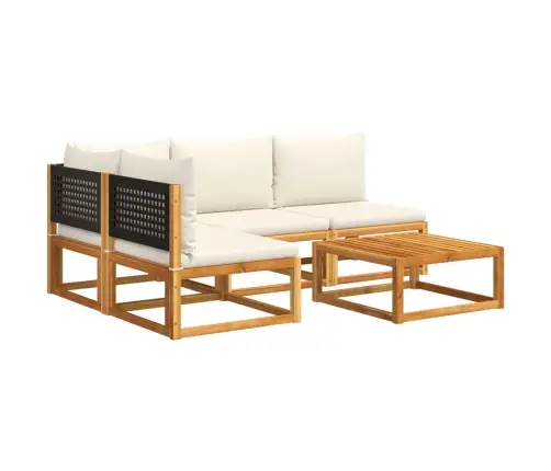 5-Osaline Aiadiivanikomplekt Patjadega, Puit, Akaatsia Ja Rotang