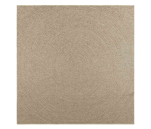 Paklājs Zizur, 200X200Cm Džutas Izskats Lietojams Telpās Un Ārā Vidaxl