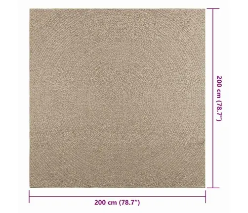 Paklājs Zizur, 200X200Cm Džutas Izskats Lietojams Telpās Un Ārā Vidaxl