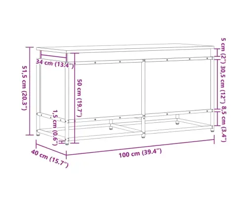 Uzglabāšanas Kaste Ar Vāku, 100X40X51,5 Cm, Inženierijas Koks Vidaxl