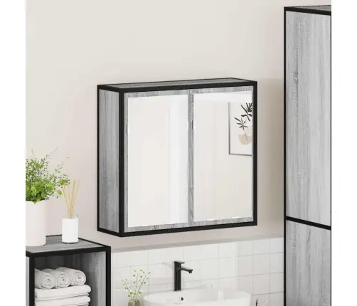 Vannasistabas Spoguļskapītis, Pelēka Ozola Krāsa, 65X20X60 Cm Vidaxl