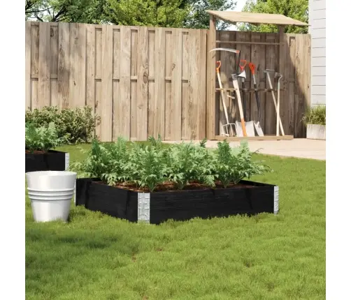 Dārza Puķu Kaste, Melna, 100X100 Cm, Priedes Masīvkoks Vidaxl