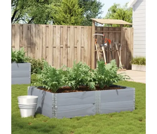 Sodo Lovelis, Pilkas, 150X100cm Pušies Medienos Masyvas