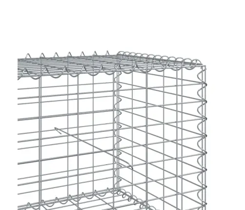 Gabiona Grozs Ar Vāku, 200X50X50 Cm, Cinkota Dzelzs Vidaxl
