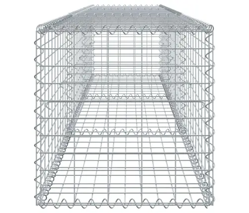 Gabiona Grozs Ar Vāku, 300X50X50 Cm, Cinkota Dzelzs Vidaxl