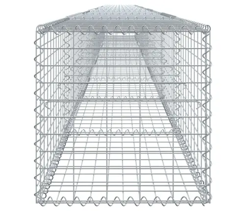 Kaanega Gabioonkorv, 900 X 50 X 50 cm Tsingitud Raud