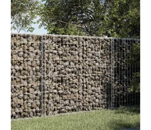 Gabiona Grozs Ar Vāku, 100X50X100 Cm, Cinkota Dzelzs Vidaxl