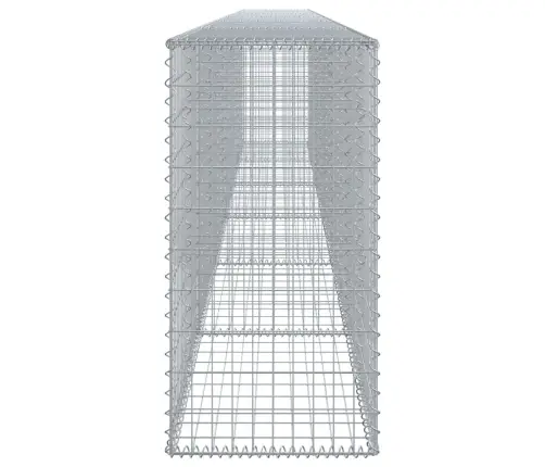 Kaanega Gabioonkorv, 600 X 50 X 100 cm Tsingitud Raud