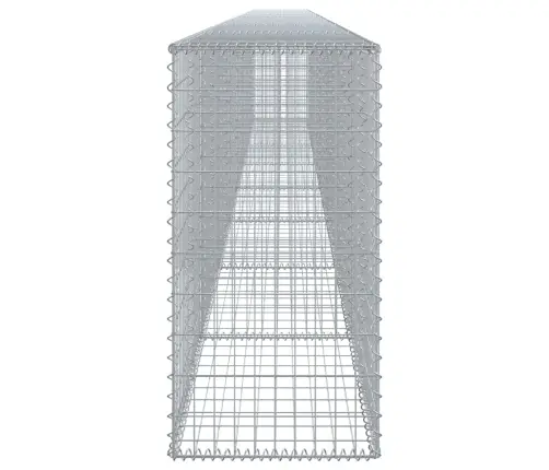 Kaanega Gabioonkorv, 800 X 50 X 100 cm Tsingitud Raud
